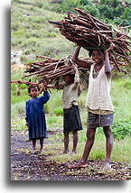 Three Girls with Brushwood::Central Highlands, Madagascar::