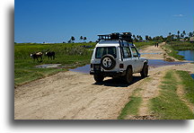 Wioska przy drodze #3::Ifaty, Madagaskar::