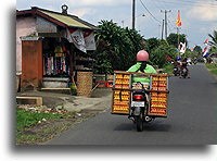 Motocyklowy transport jaj::Bali, Indonezja::