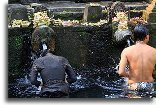 Rytuał oczyszczenia::Bali, Indonezja::