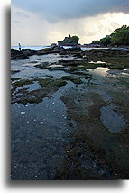 Shore at Low Tide::Bali, Indonesia::