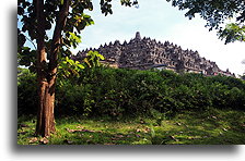 Widok Borobudur::Buddyjska świątynia Borobudur, Jawa Indonezja::
