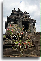 Candi Pawon::Buddyjska świątynia Pawon, Jawa Indonezja::