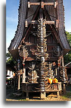 Buffalo Horn Decoration::Tana Toraja, Sulawesi Indonesia::