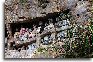 Wooden Ancestral Figures::Tana Toraja, Sulawesi Indonesia::