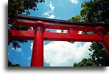Tori w Fushimi Inari::Świątynia Fushimi Inari Taisha, Kioto, Japonia::