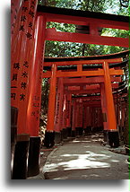 Ścieżka tori #2::Świątynia Fushimi Inari Taisha, Kioto, Japonia::