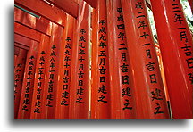 Ścieżka tori #3::Świątynia Fushimi Inari Taisha, Kioto, Japonia::