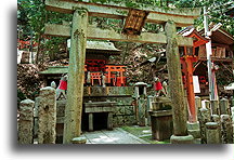 Ołtarz z lisami::Świątynia Fushimi Inari Taisha, Kioto, Japonia::