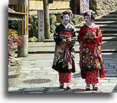 Maiko on the street #2::Gion district in Kyoto, Japan::