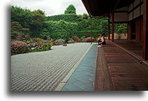 Garden in Kohrin-in #1::Kohrin-in temple in Kyoto, Japan::