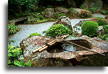 Rock Garden of Taizo-in::Taizo-in Temple, Kyoto, Japan::