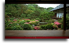Seren-tei::Świątynia Toji-in, Kioto, Japonia::