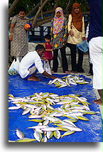 Fish on Sale::Mahibadhoo, Maldives::