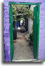 Ogródek za drzwiami::Mahibadhoo, Malediwy::