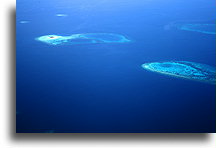 Wyspy koralowe::Wyspy Malediwów, Malediwy::