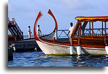 Malediwskie łodzie::Wyspa Rangali, Malediwy::