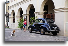 Dog and Morris Minor::Galle, Sri Lanka::