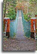 Sombrio Suspension Bridge::Vancouver Island, Canada::