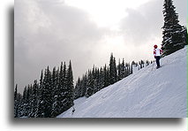 Ready for Tree Skiing::Whistler, British Columbia, Canada::
