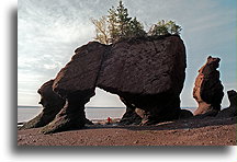 The Arch at Low Tide::Hopewell Rocks, New Brunswick, Canada::