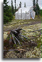 Pioneer Tent::Labrador Highway, Labrador, Canada::