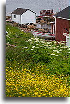 Red Bay Waterfront::Fishing houses in Red Bay Harbour::