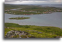 Red Bay i wyspa Organ::Labrador, Kanada::