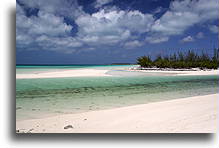 Plaża w Bain Town::Wyspa Cat, Bahamy::