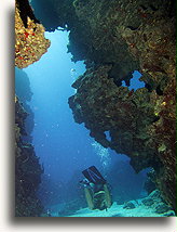 Cayman Underwater