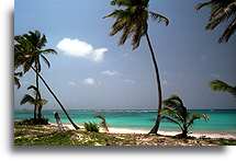 Turkusowa woda::Wybrzeże Dominikany, Karaiby::