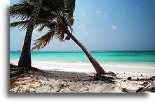 Plaża w Punta Cana - Bavaro::Dominikana, Karaiby::