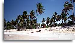 Jedwabny piasek w Bavaro::Wybrzeże Dominikany, Karaiby::