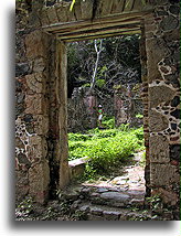 Ruiny duńskiej plantacji #2::St. John, Wyspy Dziewicze Stanów Zjednoczonych, Karaiby::