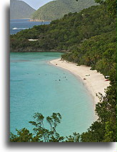 Plaża zatoczki Trunk::St. John, Wyspy Dziewicze Stanów Zjednoczonych, Karaiby::