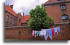 Laundry::Gniew, Poland::