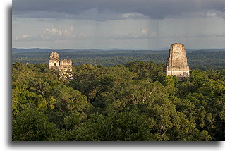 Świątynie Tikal::Tikal, Gwatemala::