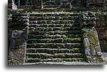 Stairs Building D::Topoxté, Guatemala::