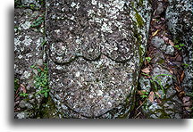 Sculptured Rock::Copán Ruinas, Honduras::