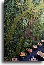 Green Wall in Downtown Hotel::Mexico City, Mexico::