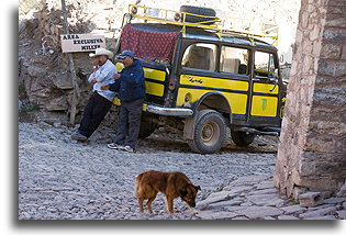 Willys and Dog::Real de Catorce, San Luis Potosi, Mexico::