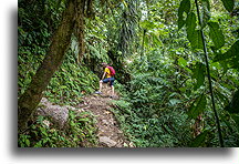 Trail to the Lost Waterfalls::Boquete, Panama::