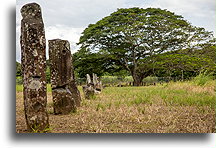 Stone Monoliths #1::El Caño, Panama::