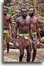 Wioska Pankumo #2::Vanuatu, Oceania::