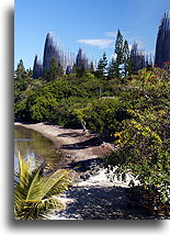 Tjibaou #5::Numea, Nowa Kaledonia, Oceania::
