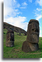 Collection of Moai #2::Easter Island::