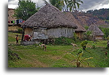 Navala Village #5::Navala Village, Fiji, South Pacific::