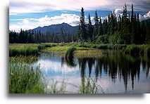 Góry Wrangell::Alaska, Stany Zjednoczone::