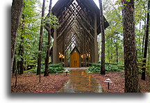 Nested in the Woods::Anthony Chapel, Arkansas, United States::
