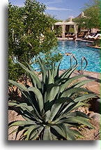 Nad basenem ...::Four Seasons Resort, Scottsdale, Arizona, USA::